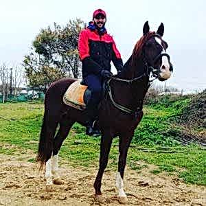 Orman Atlıtur 1 Saat