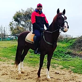 Orman Atlıtur 1 Saat